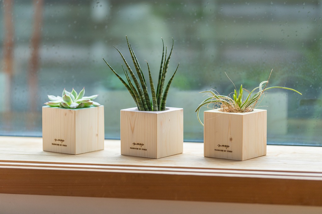 WOOP Planter